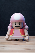 Chunky Toadette - Super Mario Bros Kit | No Supports, No AMS, No Glue image 1