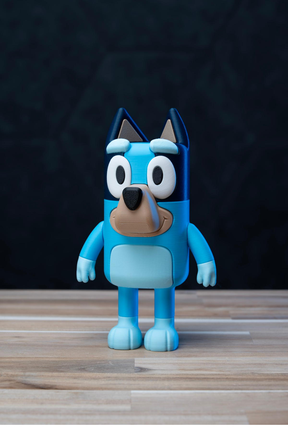 Bluey Heeler Kit | No Supports, No AMS, No Glue image 1